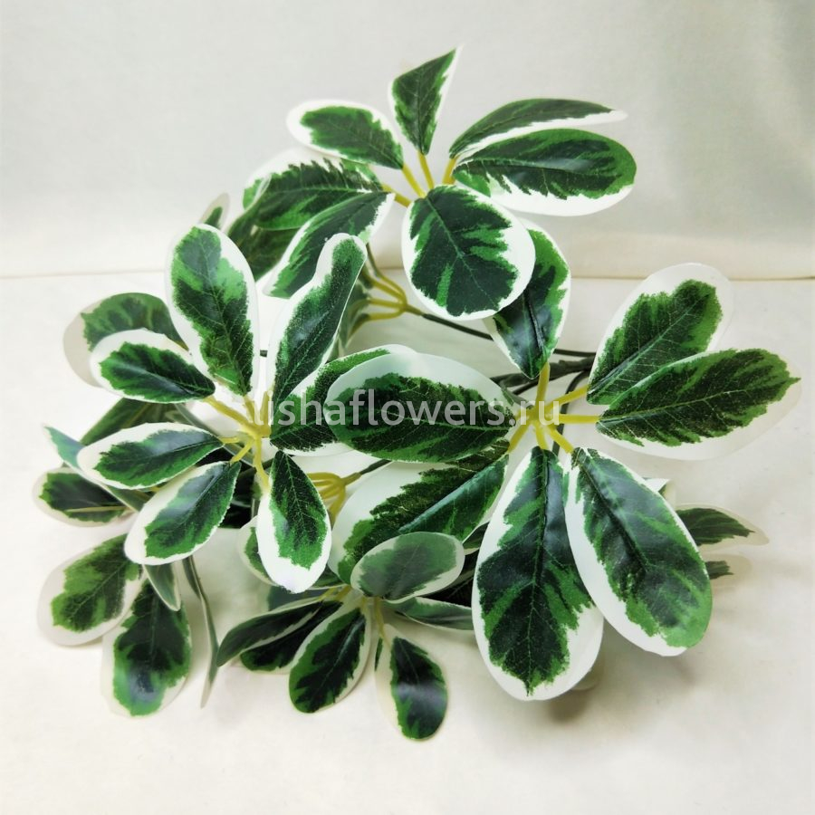 Фикус 35см.Арт.3107/2